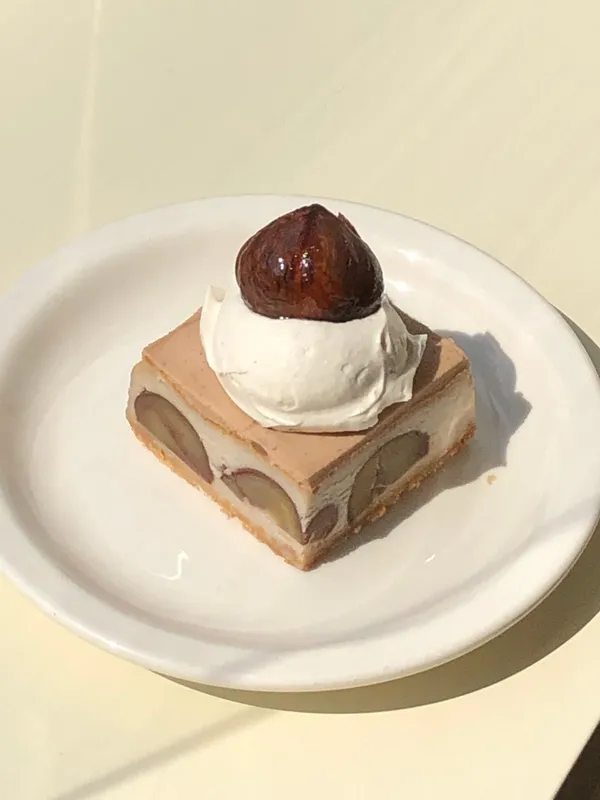 버건디 사진 4