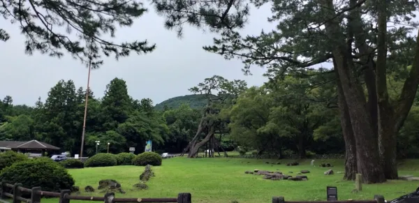 동문공설시장 사진 4
