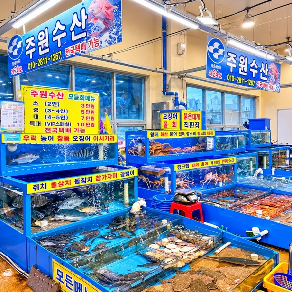 주원수산 청호활어회센터본점