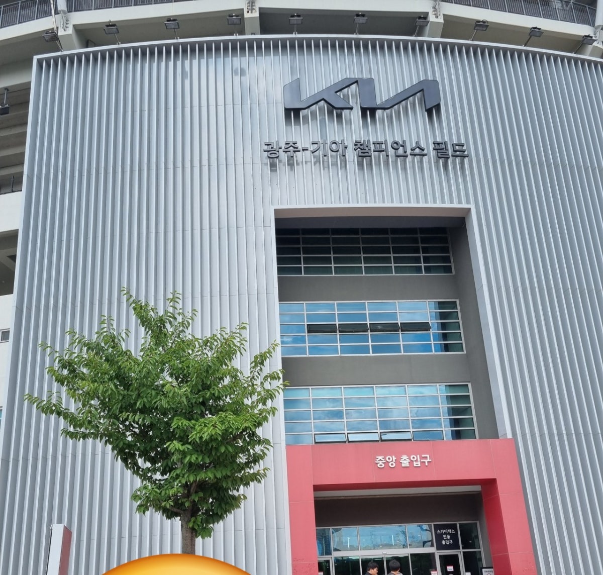 광주기아챔피언스필드 사진 3
