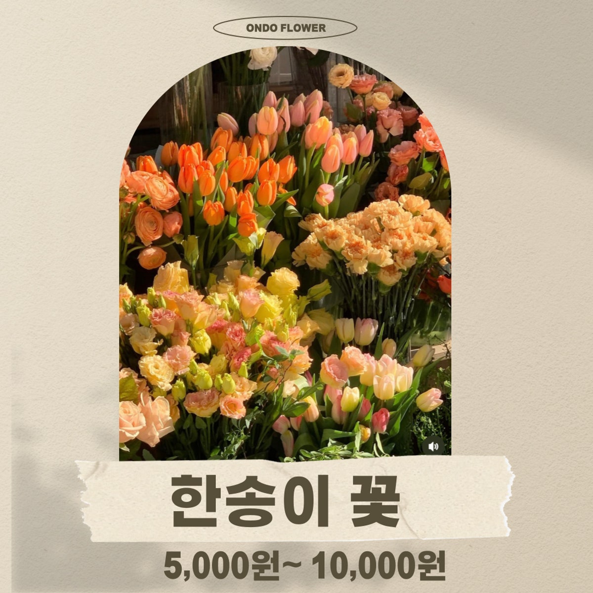 온도플라워 사진 5
