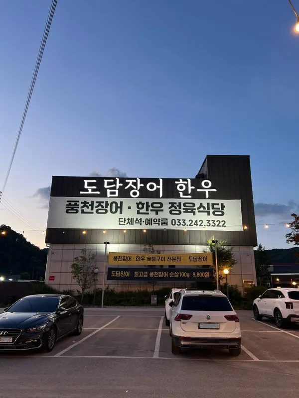 도담장어