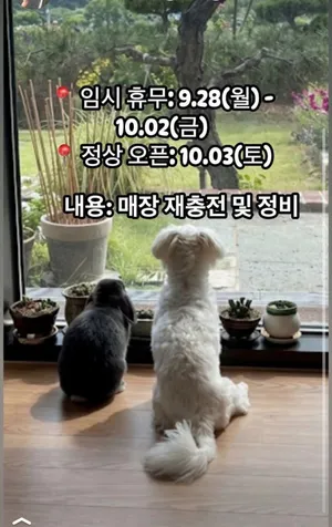 트래블373