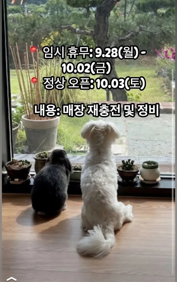 트래블373