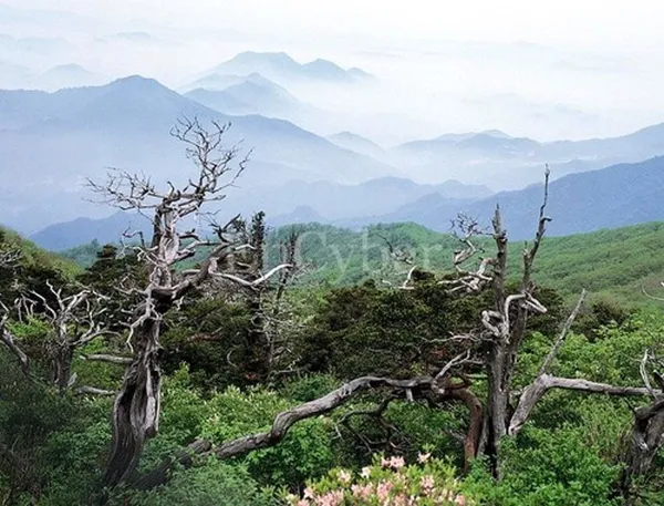 소백산