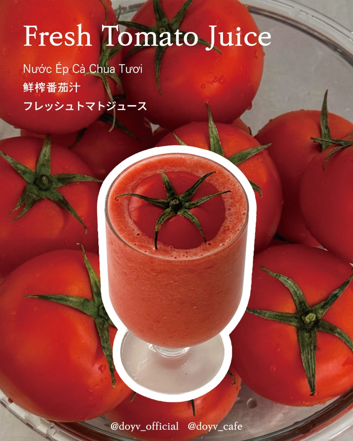 카페 도이브 사진 3