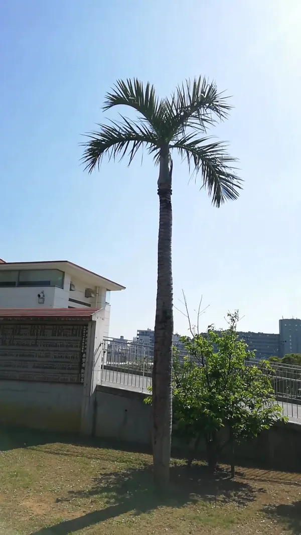오노야마 공원 사진 3