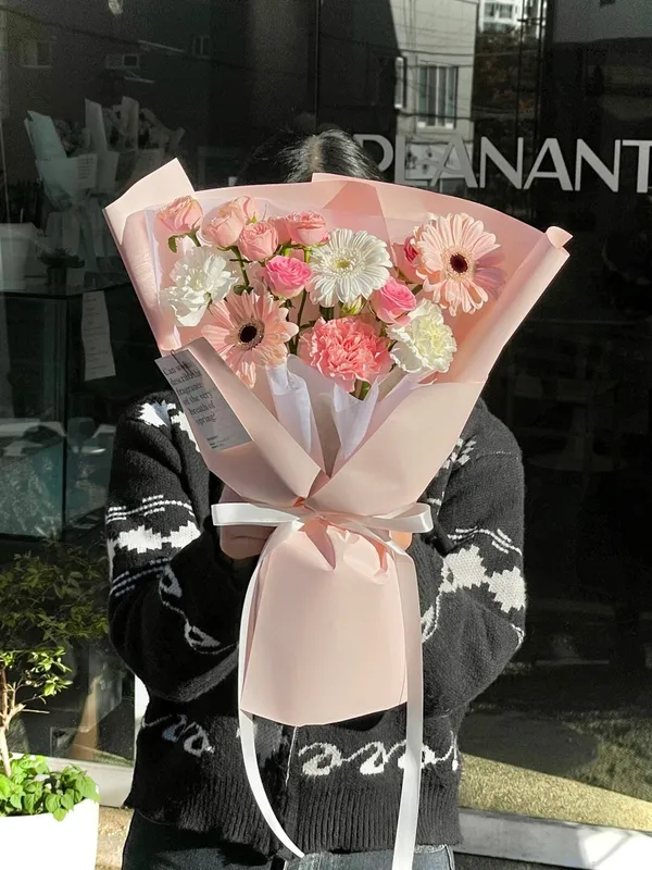 플라낭 사진 4