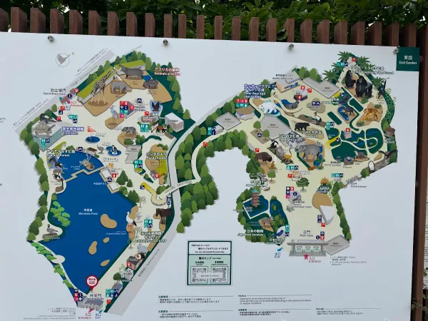 Ueno Zoo, photo 5