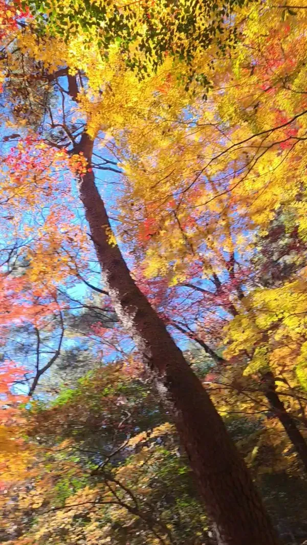 금강공원 사진 5