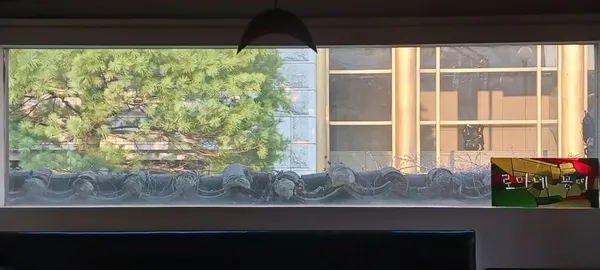 로마네 꽁띠 사진 3