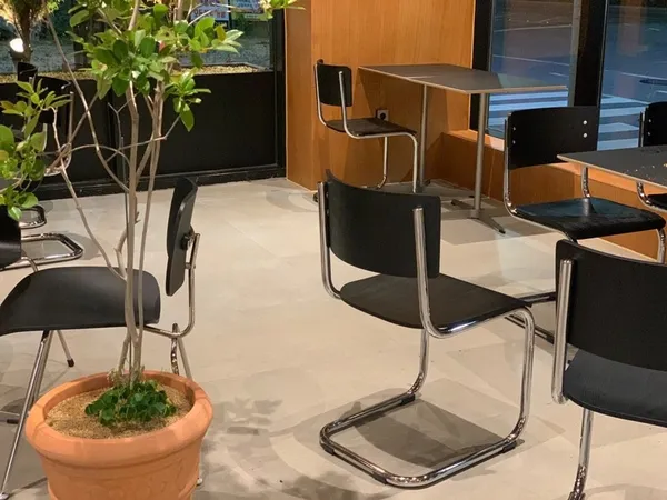 오블리크 사진 5