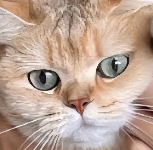 ムグンファの写真5