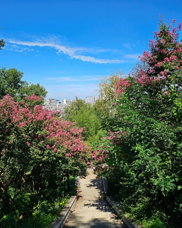 오목대 사진 2