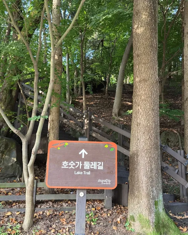 가을단풍길(호숫가둘레길)