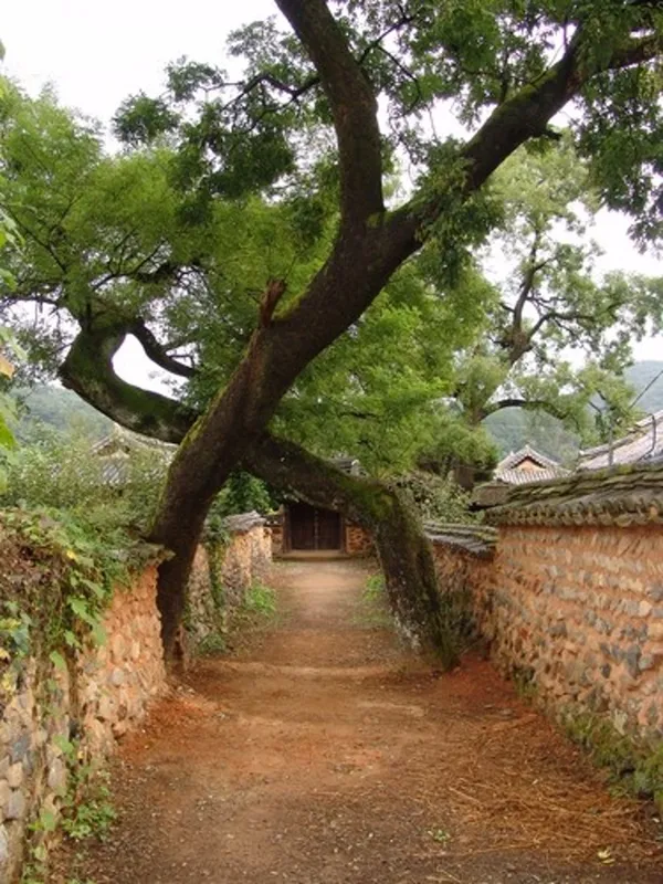남사예담촌 사진 3