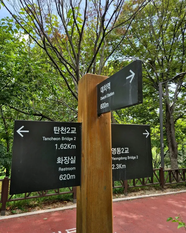 양재천 사진 2