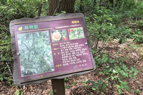 도당근린공원 사진 4