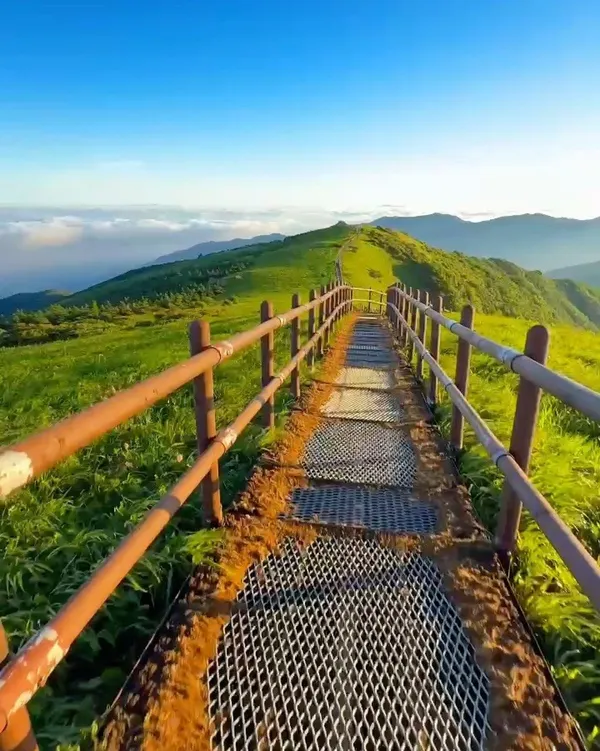 소백산 사진 5