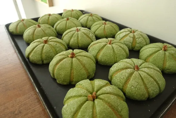 카멜리온 사진 4
