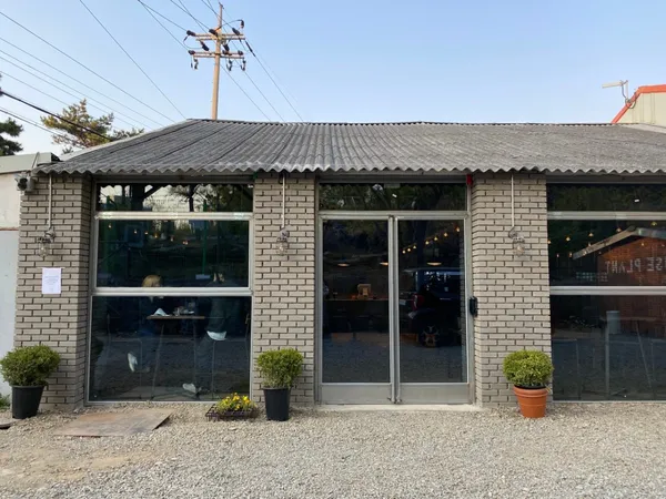 하우스플랜트 사진 5