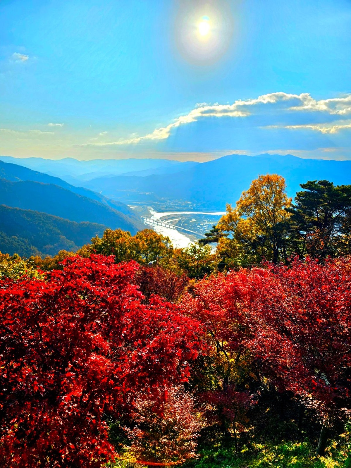 약수순대국 사진 5