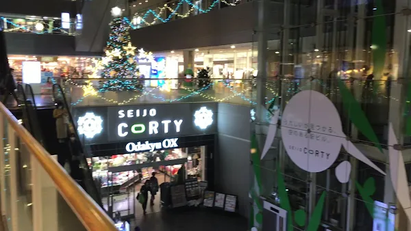 Seijo Corty 사진 3