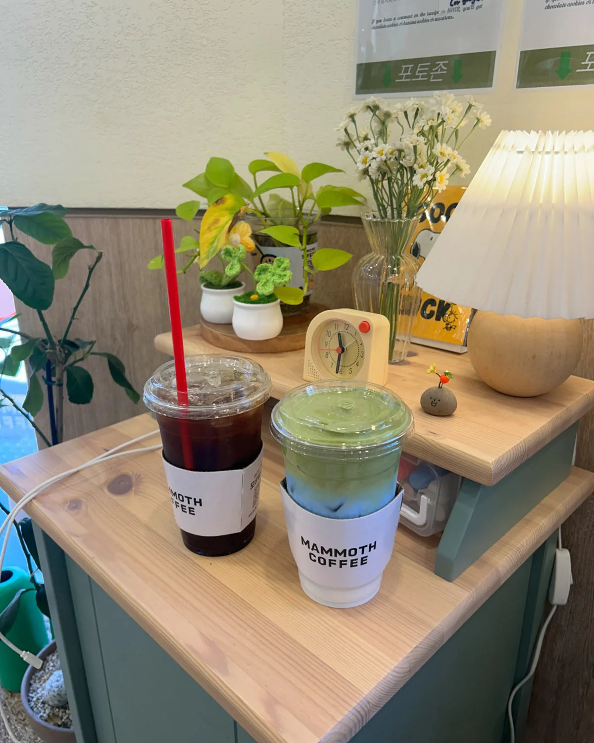 マンモスエクスプレス ヨンナム店のメイン写真