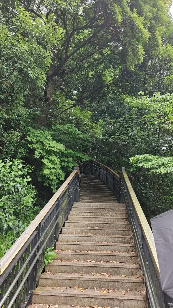 Minato no Mieru Oka Park, photo 5