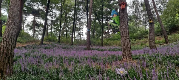 동화마을수목원 사진 3