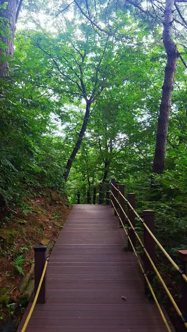 동화마을수목원 사진 5
