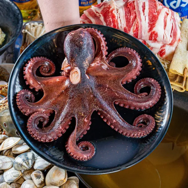오봉이해물칼국수 사진 4