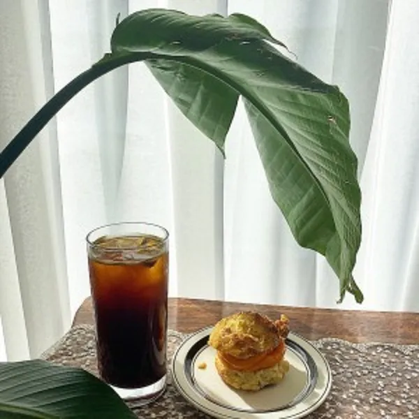 하이진도 사진 5