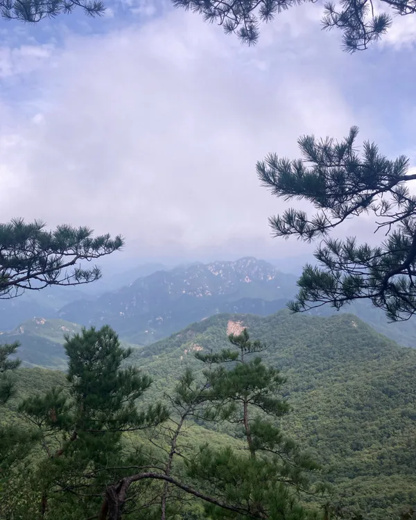 황장산 사진 3