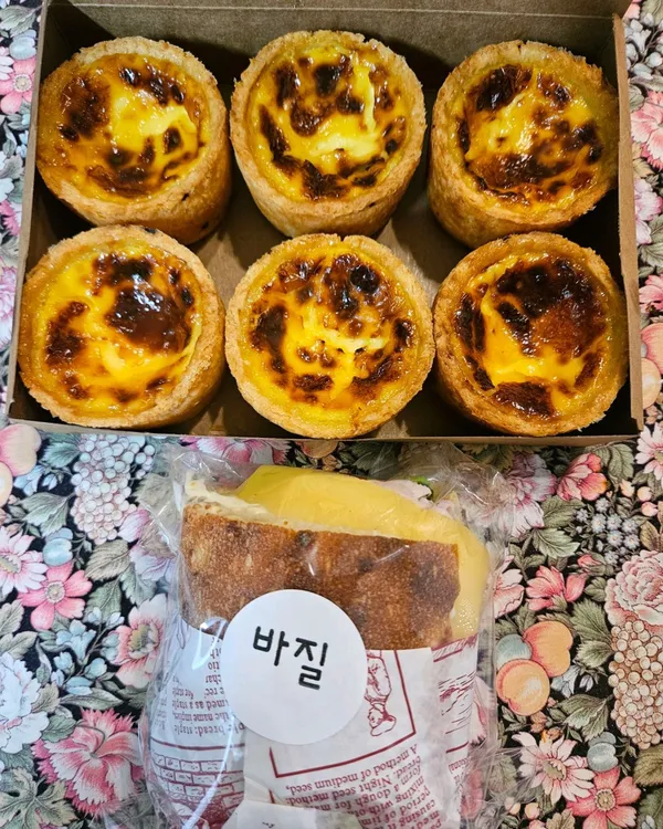 인비토 사진 5