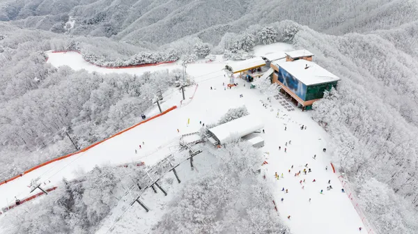 비발디파크 사진 3
