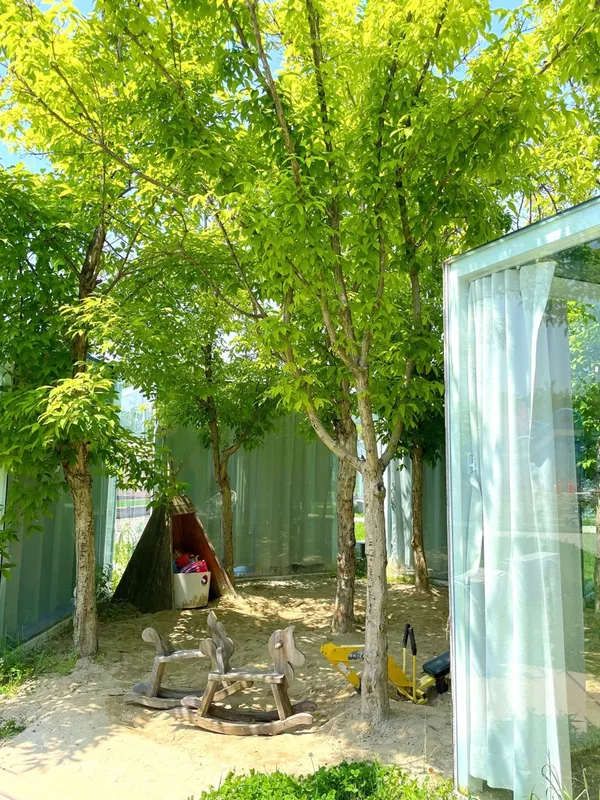 카페트로이 사진 5