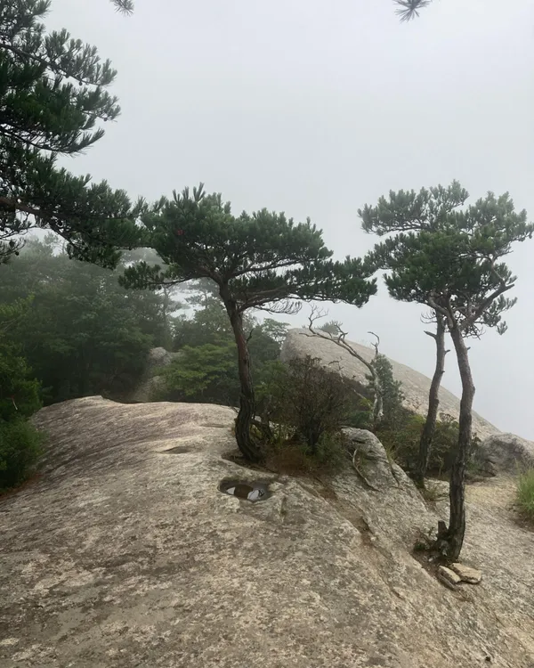 희양산 사진 4