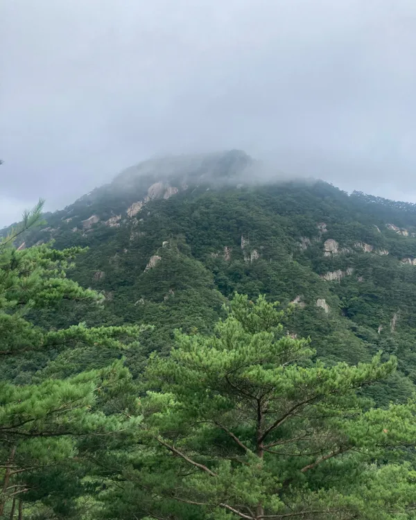 희양산 사진 5