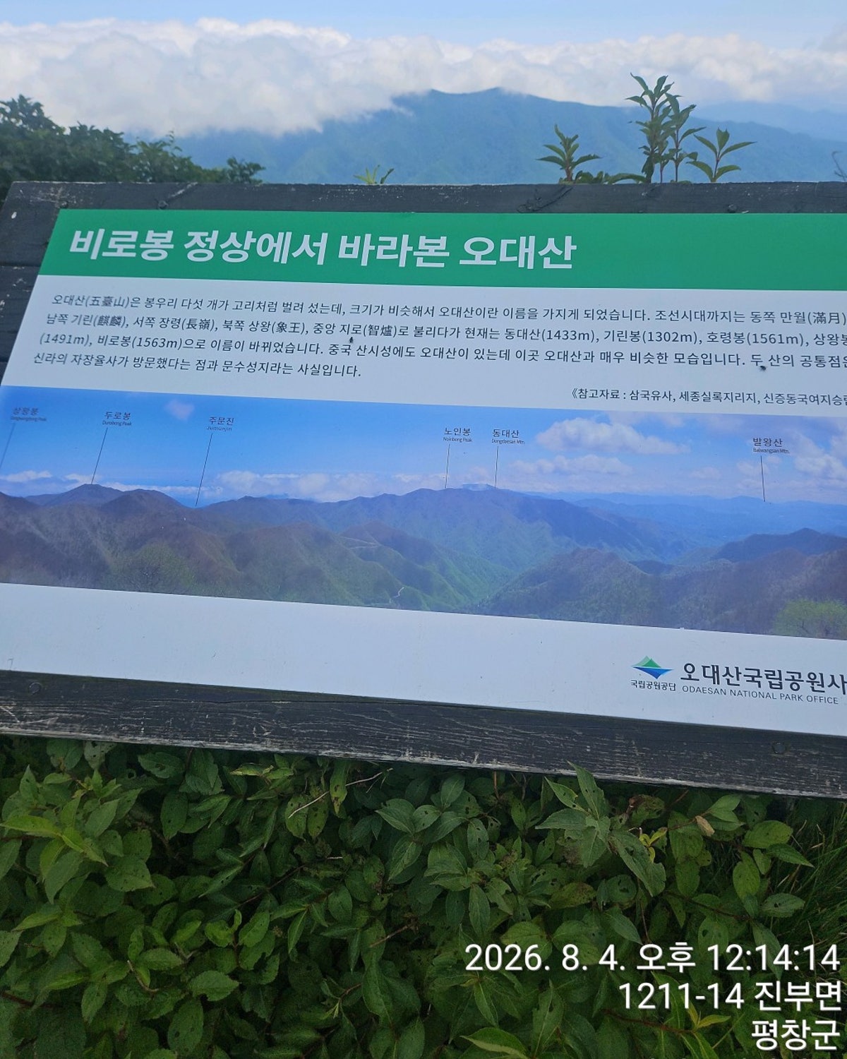 오대산 사진 3