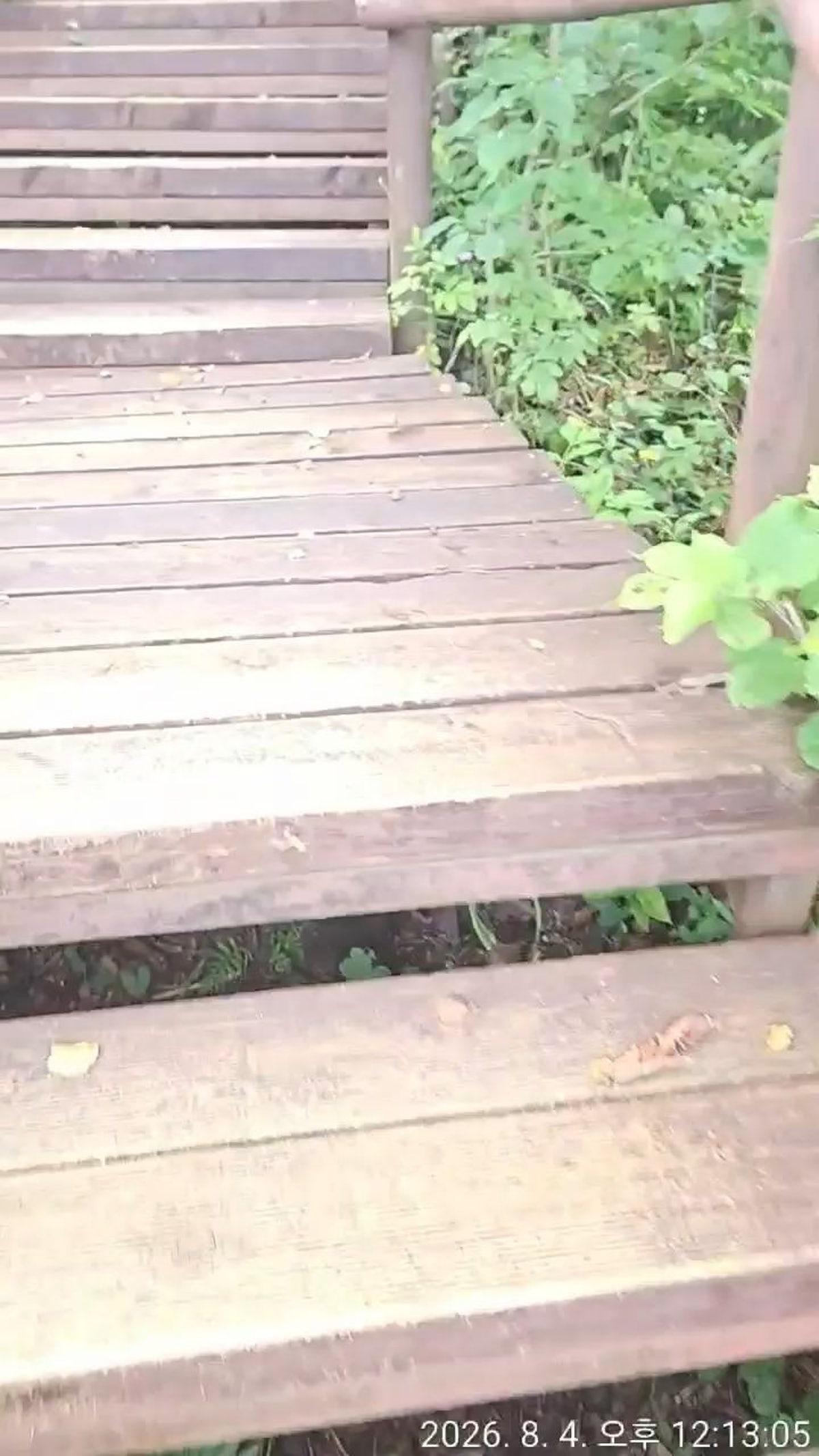 오대산 사진 4