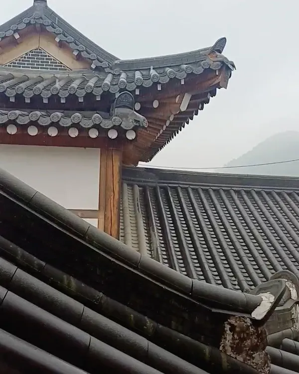 진흥채 사진 5