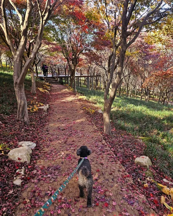 만연산지구산림공원 사진 2