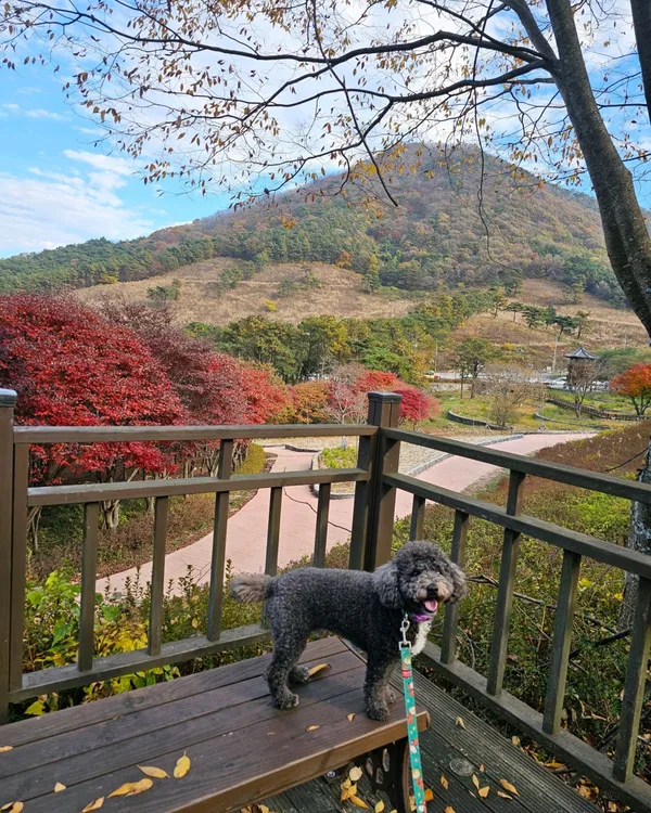 만연산지구산림공원 사진 3