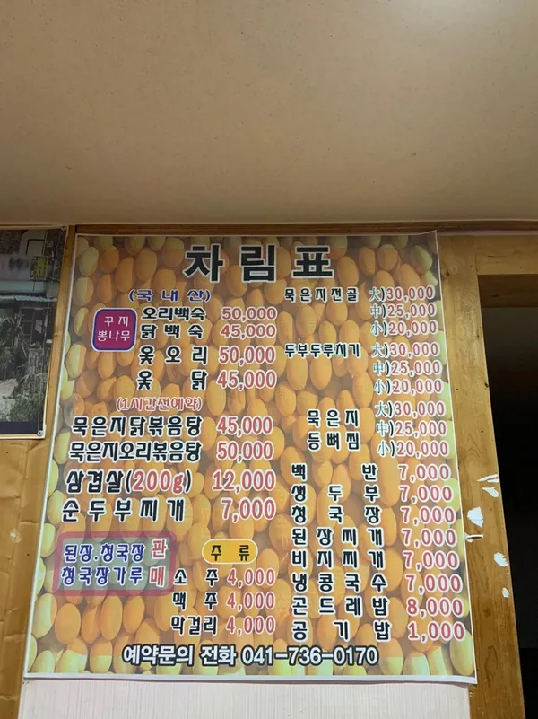 콩콩이와청청이 사진 4