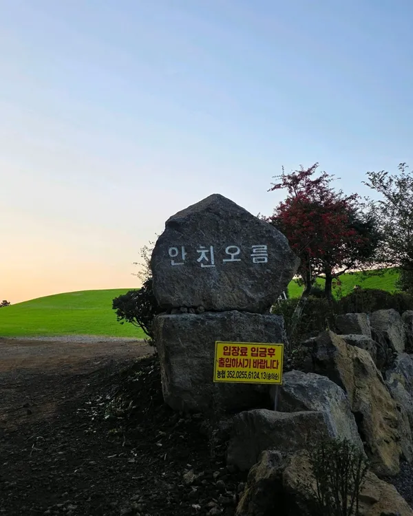 안친오름 사진 3