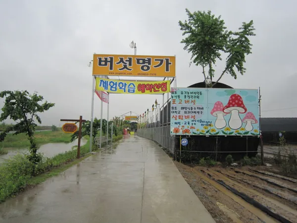 버섯명가 자연밥상 사진 4