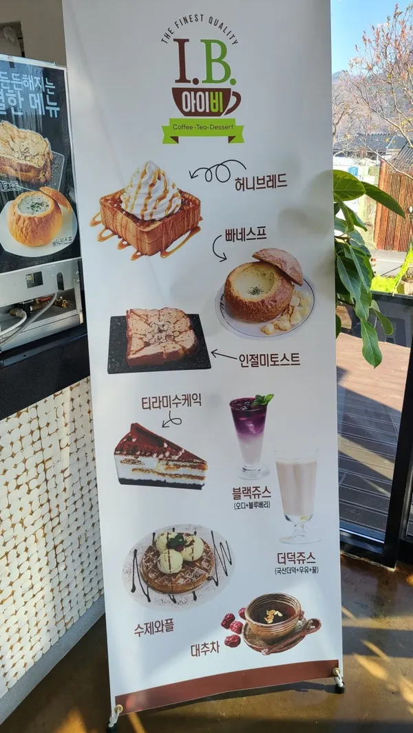 아이비 사진 2