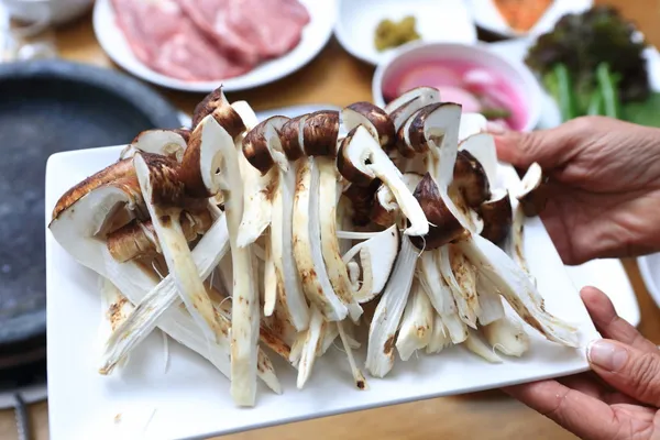 등불가든 사진 4