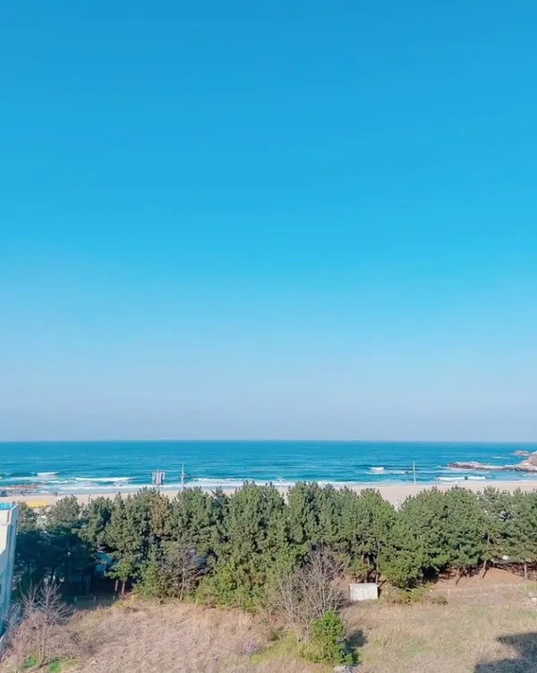 일기일회 사진 5